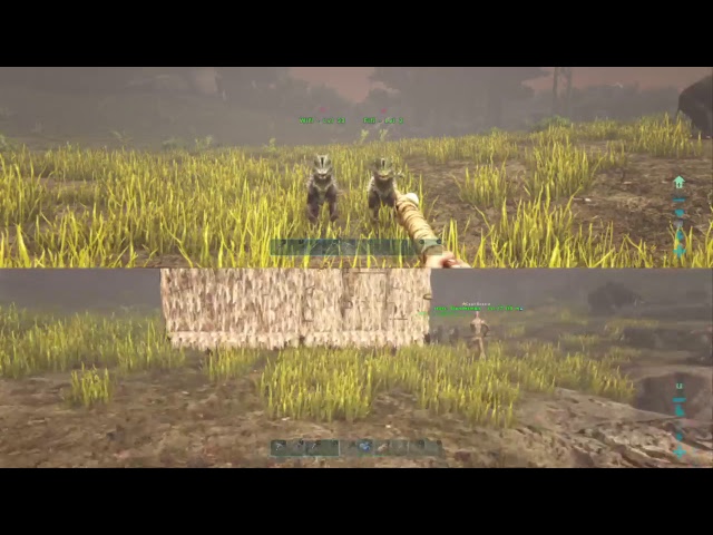 Ark Splitscreen with The Mrs. #3