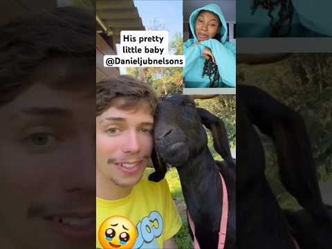 The Human goat... pretty little baby🥹 #love #animals #goat #trending