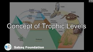 Concept of Trophic Levels