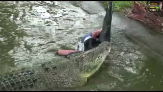 Monster Crocodile Smashes Dummy! #crocodile #crocodiledundee #gnarly #monsterhunter