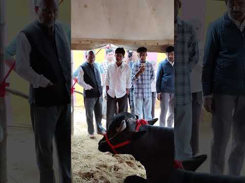 34 लाख  भैंस आया पुष्कर मेले में आप बी आओ देखो 🤯🤯#pushkar