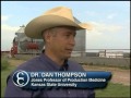 Bovine Respiratory Disease in Calves