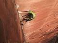 Scary Climbing Fall Scary Climbing Fall