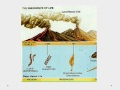 Ozone Layer and Precambrian Life