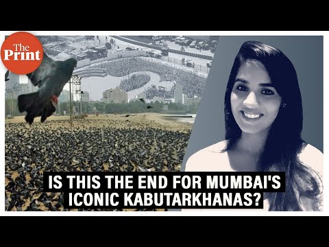 Why does Maharashtra govt want kabutarkhanas shut down?