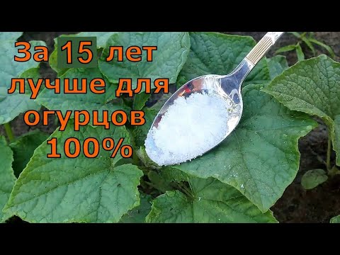 1 Литр под огурцы, томаты, перец и они прут как бешенные