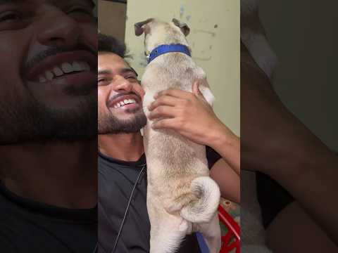 My last day with my puppy 😠#shorts #minivlog #100daysofmylife