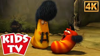 Hair Growth Solution | Türkiye'De Çocuklara Yönelik Çizgi Film Gösterisi - Larva