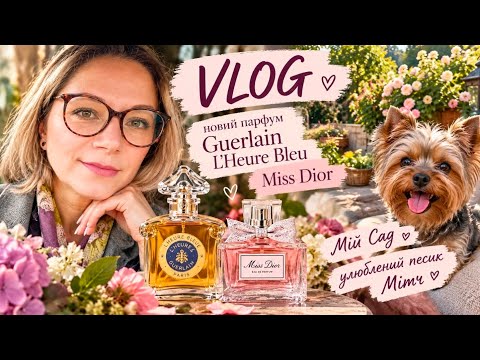 VLOG 🌸 новий  Guerlain L'Heure Bleu, Dior, Jean Paul Gaultier, Мітч, сад