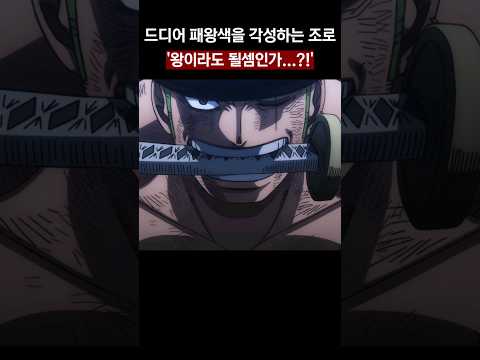 드디어 패왕색을 각성하는 조로