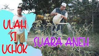 ULAH SI UCHOK -  SUARA ANEH