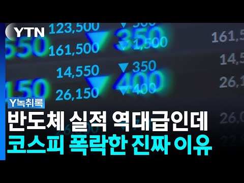 반도체는 잘 나가는데 주가는 왜 떨어질까? [굿모닝경제] / YTN