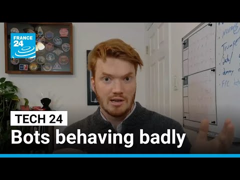 First victim of AI agent harassment warns 'thousands' more could be next • FRANCE 24 English
