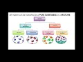 Classification of Matter: Key Concepts and Principles