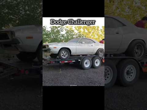 Cleaning _Barn Find_ Dodge Challenger | #shorts #dodge #supercars #supra