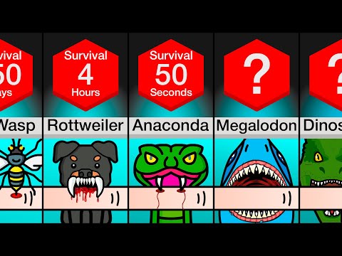 Comparison: How Long Will You Last If You Get Bitten By ___?