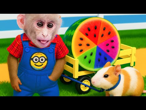 Obi Monkey and Baby Mice’s Fun Water Fruit Adventure | ANIMALS LIFE