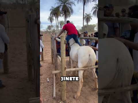 Peligro En Las Puertas (@Rooh Oliveira)