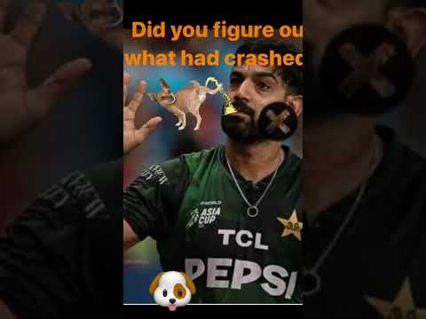 Kutte tum aye nahi laya gaya hai #indiavspakistan