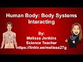 Exploring Interactions of Human Body Systems