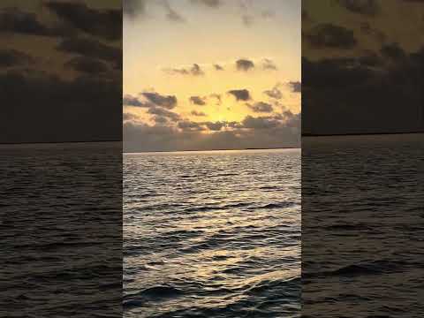 Good morning from Rockport, Texas y’all have a great week ￼