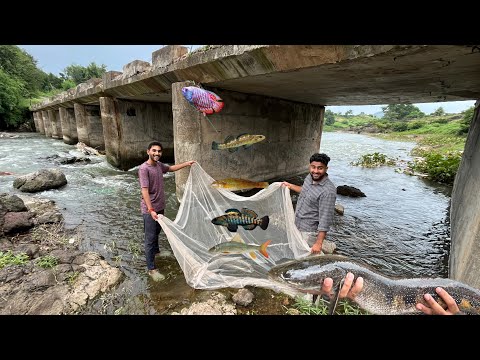 Bahot Sari River Barb Mil Gayi #riverfishing🐠