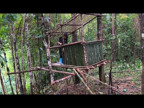 Solo survival di hutan I membangun tempat berlindung untuk bertahan hidup di hutan
