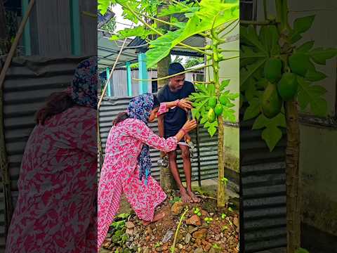 farming reel๐๐ฆ #song #farming #khetibadi #dailyshorts #virulshorts