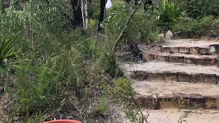 Sutta Class 7 RIght Mindfulness and Right Attentiveness