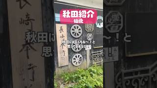 秋田には何もないって本当！？  #秋田 #秋田県 #仙北市 #わらび座 #shorts #蕗之葉みもざ