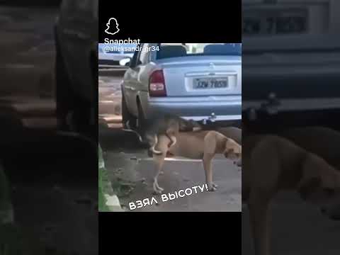 Ана эрталабги тирнирофка