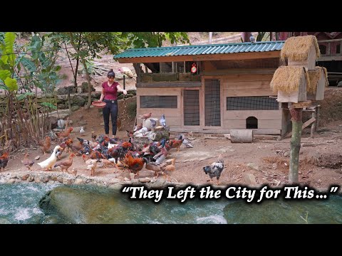 Real Off-Grid  Couple Life - Gardening, Feeding Animals, and Sharing Love