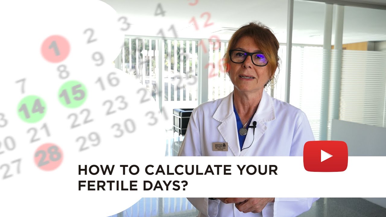 Calculating ovulation: the optimum time for getting pregnant