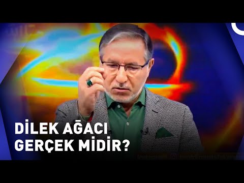 Ağaca Dilek Tuttuktan Sonra Rüya Gördüm | Muhabbet Kapısı