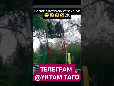 #кашкадарё #тренд #шоубизнес