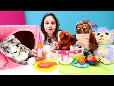 Kedi balığını yemiyor! 🐱💊 Veterinerde sürpriz bir sorun çıktı!