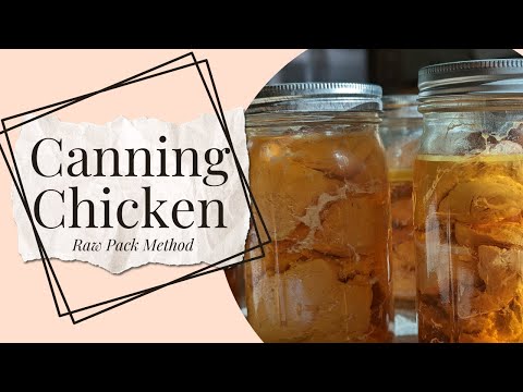 Canning Chicken (Raw Pack Method) & Cleaning Gizzards