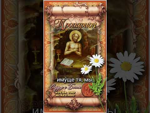 31 июля Прп. Иоанн Многострадальный, Печерский (1160г)
