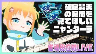【 #雀魂 】肉球猫が魂天になる瞬間応援配信 #ニャンダーラ