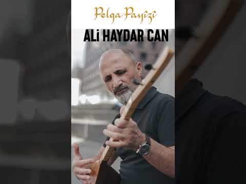 Ali Haydar Can - Pelga Payîzî #shorts