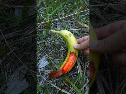Banana fruit skin graft surgery required #shorts
