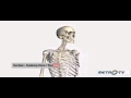Forensic Anthropology Concepts and Applications