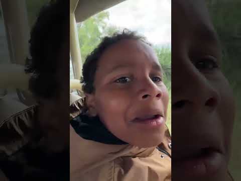 would you pet a cheetah in Africa #mrbeast #trendingshorts #trending #viralshorts