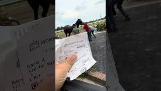 BFD  horse track day