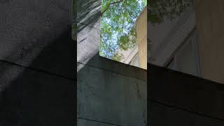 台灣：清水模建築、返璞歸真中的寧靜-「菩薩寺」/Taiwan:IBS -Buddhist Temple /2026 May#菩薩#buddhisttemple #菩薩寺#台灣#taiwan