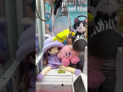 Pet Claw Machine - Day 43 #clawmachine #arcade