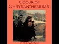 Understanding 'The Smell of Chrysanthemums'