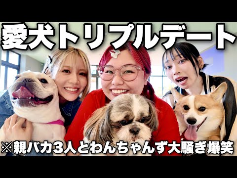 3姉妹とわんちゃんず大集合で遊んだら愛深すぎて親バカ対決はじまったwww