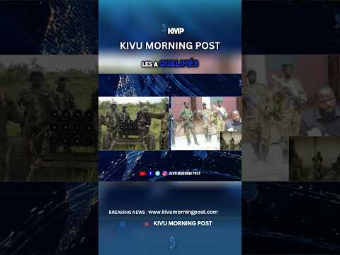 RD Congo: Affrontements violents et déplacement massif, les Wasalendo