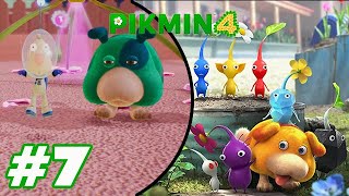 🔴 Pikmin 4 #7 - Catching Updog